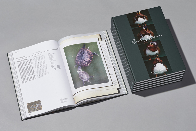 動物たちの求愛行動を編纂した図鑑 Act Of Love が登場 代官山では記念展開催 Cdjournal ニュース 動物たちの求愛行動を編纂した図鑑 Act Of Love が登場 代官山では記念展開催 Cdjournal ニュース