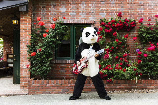 ギターパンダ ロックンロールギタリスト 紙ジャケ ギターパンダ