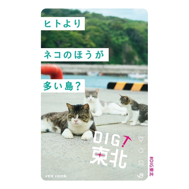 JR東日本「DIG!東北」のCMソングが気になる！