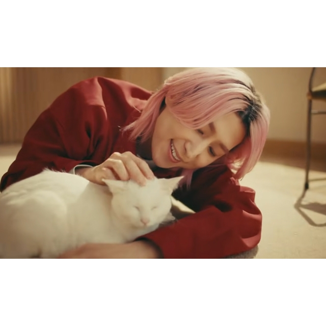 佐久間大介が愛情たっぷりに猫と犬とふれあう「懐石」のCMソングは？